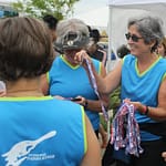 Adding to the collection