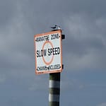 Manatee Zone