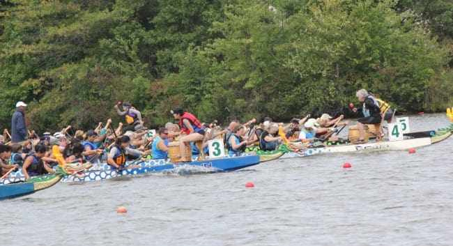 The Paddlefish signature surge…..